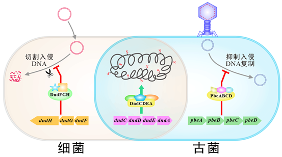 1556001088416848.png image.png