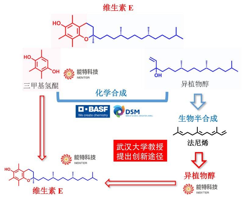 1548833917867951.jpg 维生素.jpg